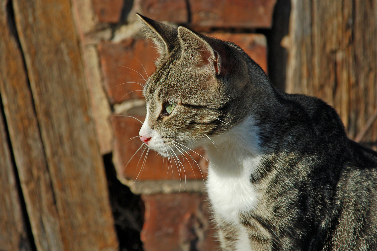 OF-DSC_7931.jpg