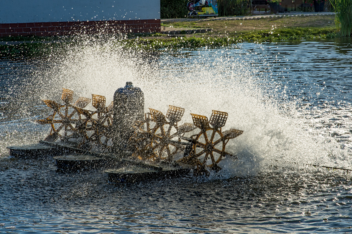 OF2_04256.jpg
