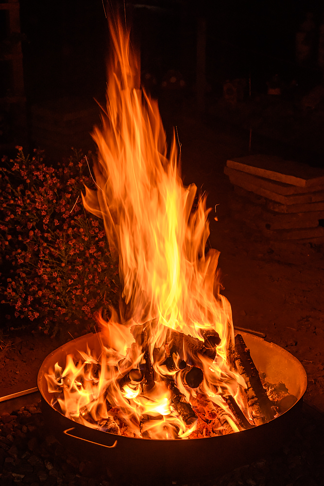 OF2_23420.jpg
