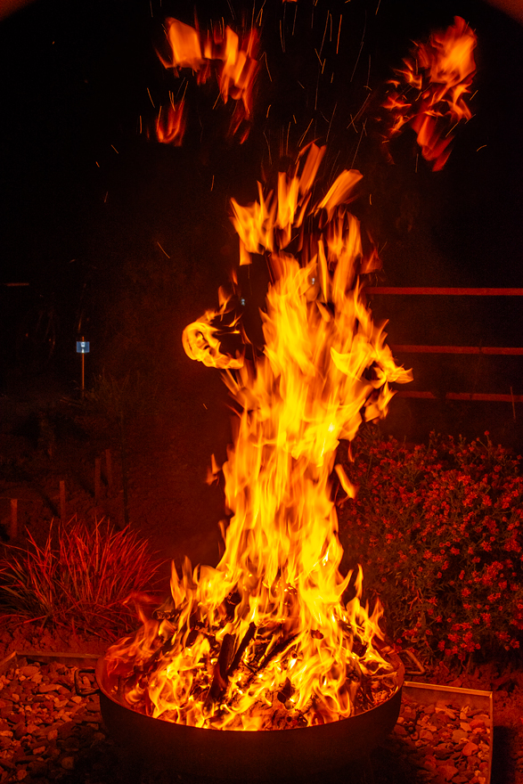 OF2_23480.jpg