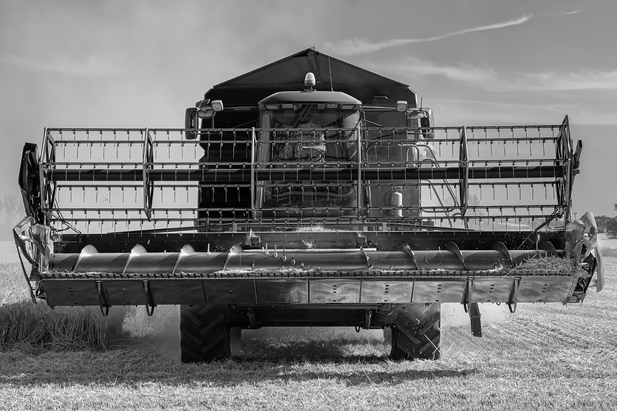 OF2_30411sw.jpg