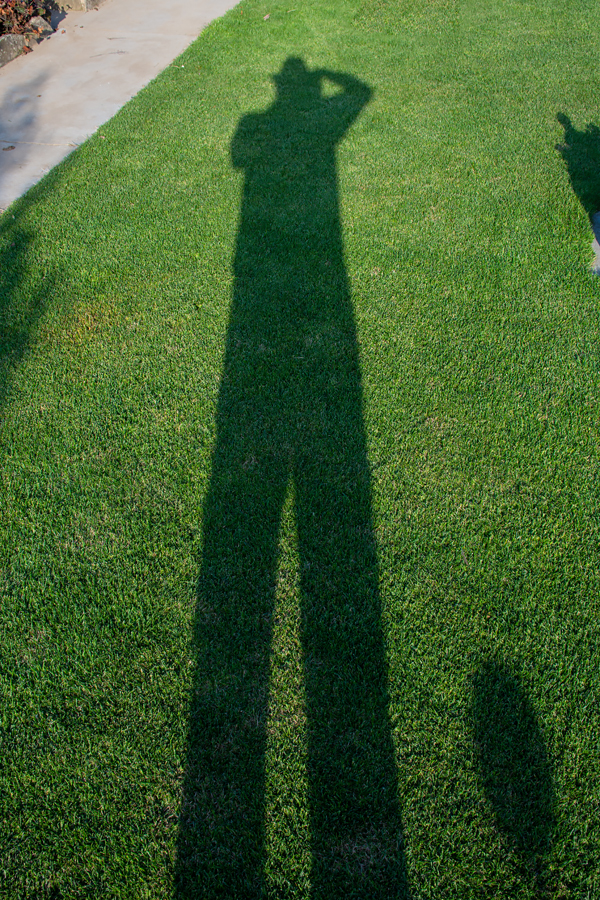 OF2_31772.jpg