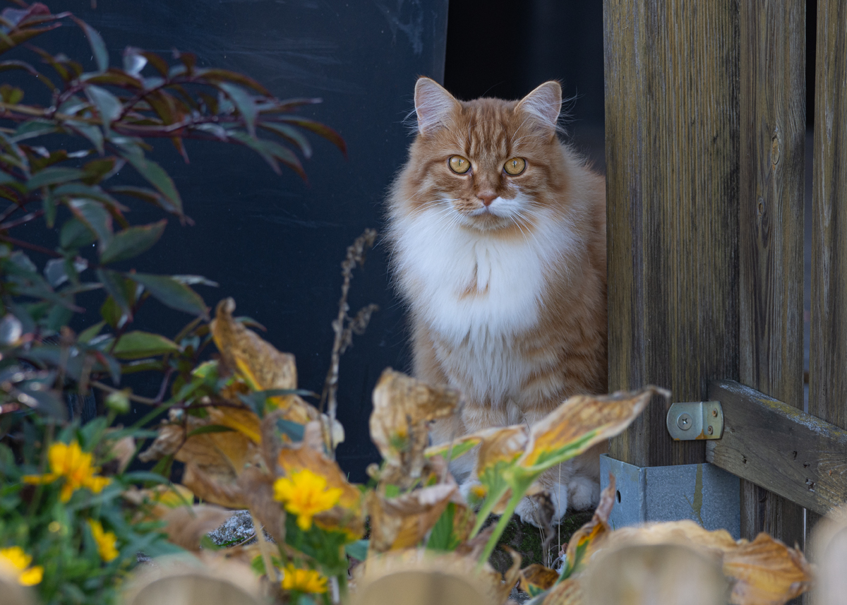 OF2_33874.jpg