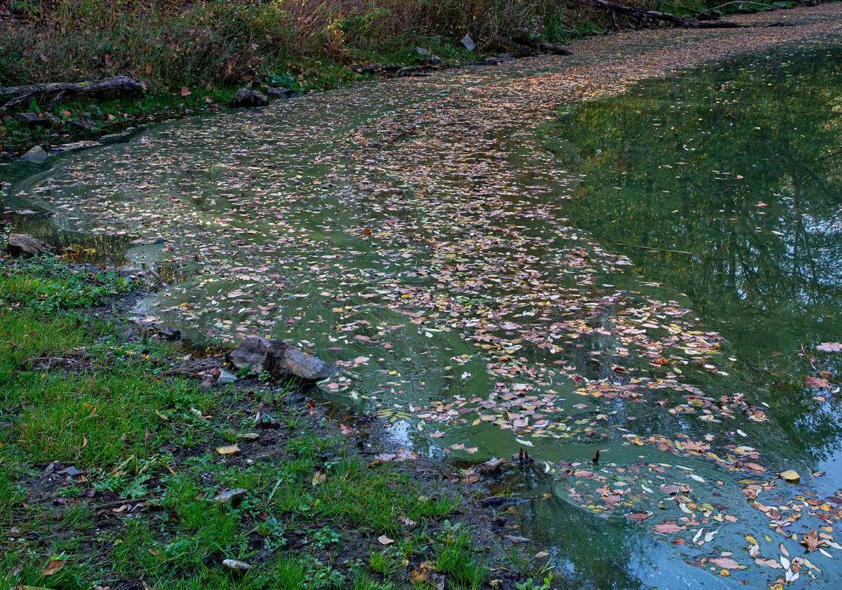 OF2_34019.jpg