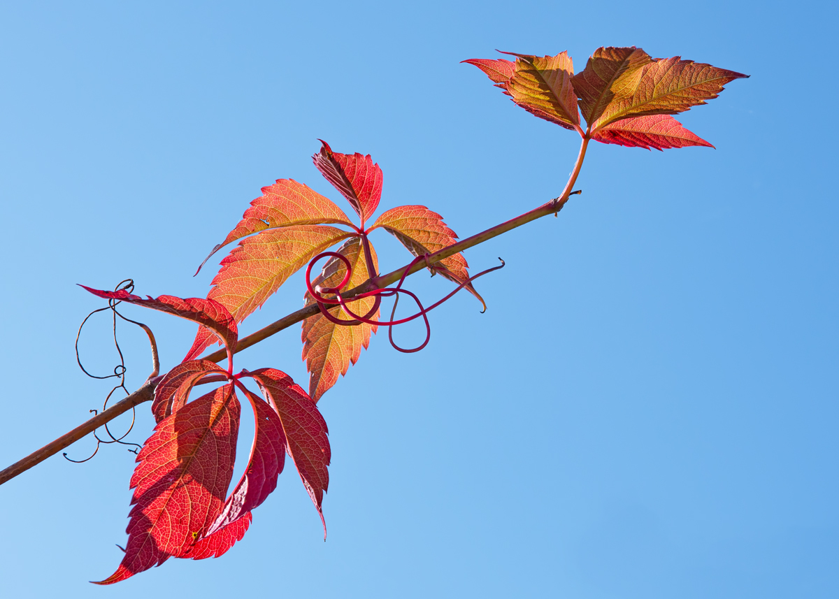 OF2_34158.jpg