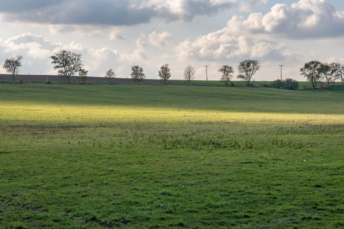 OF2_34209.jpg