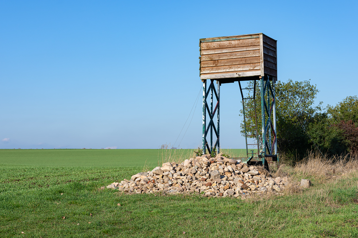 OF2_34468.jpg