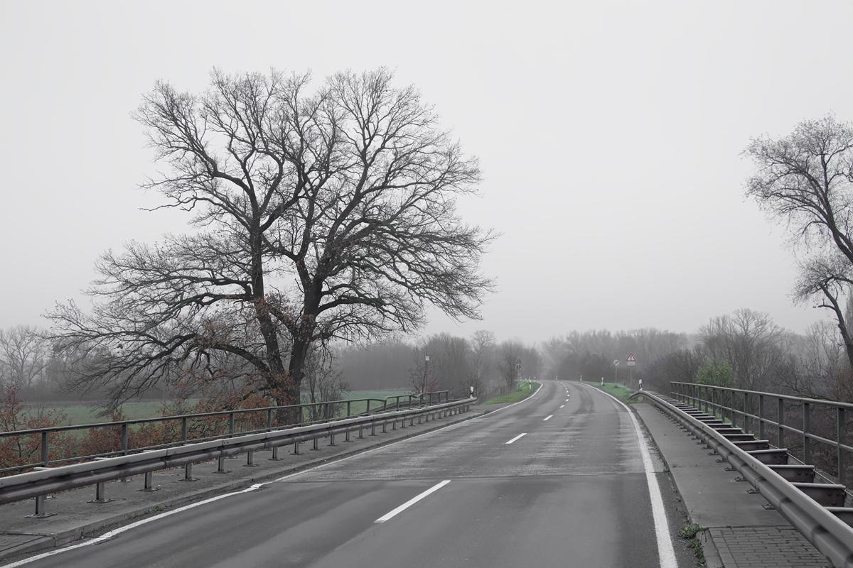 OF2_34538.jpg