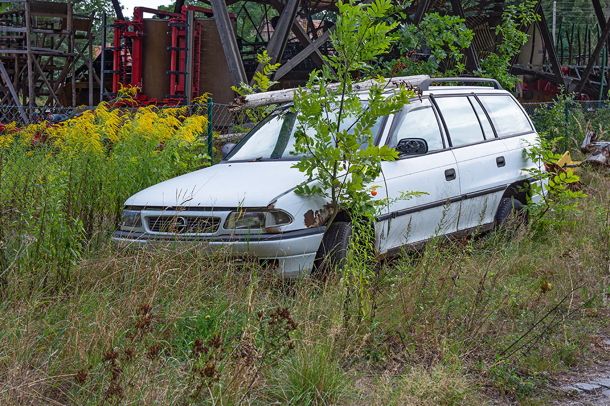 OF2_43414.jpg