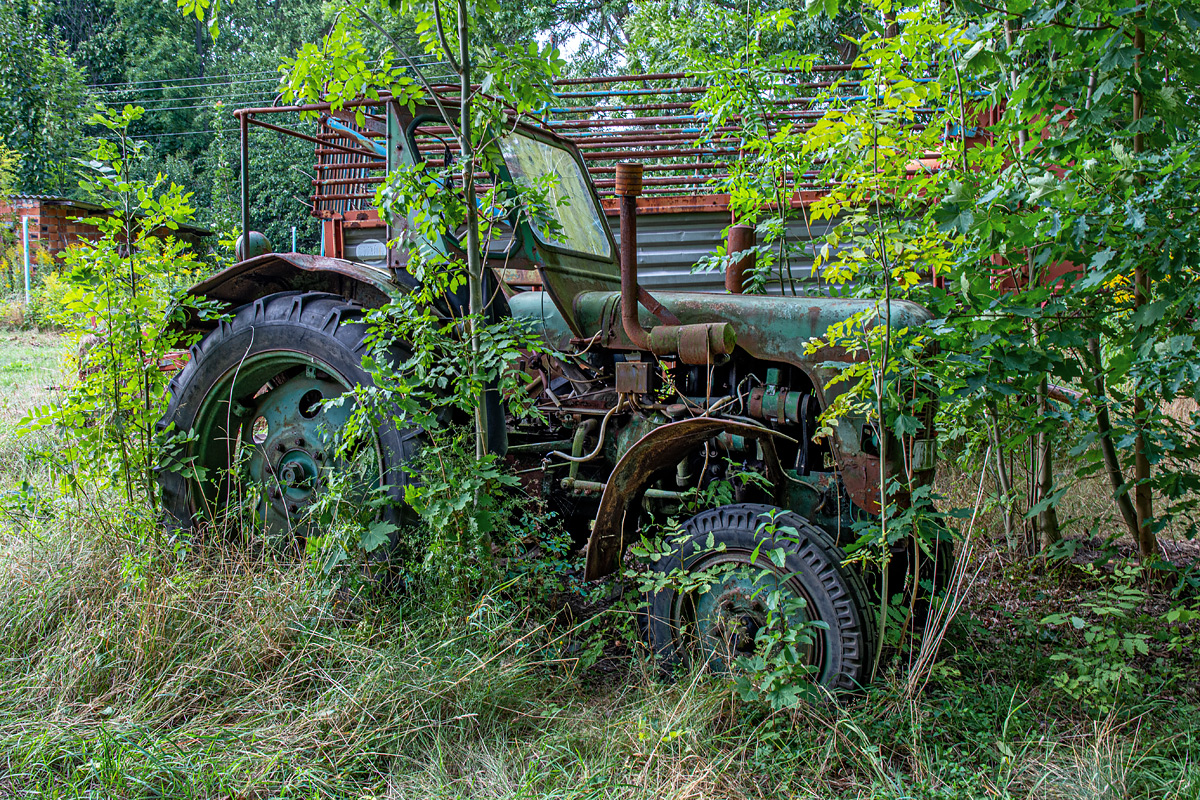 OF2_43420.jpg