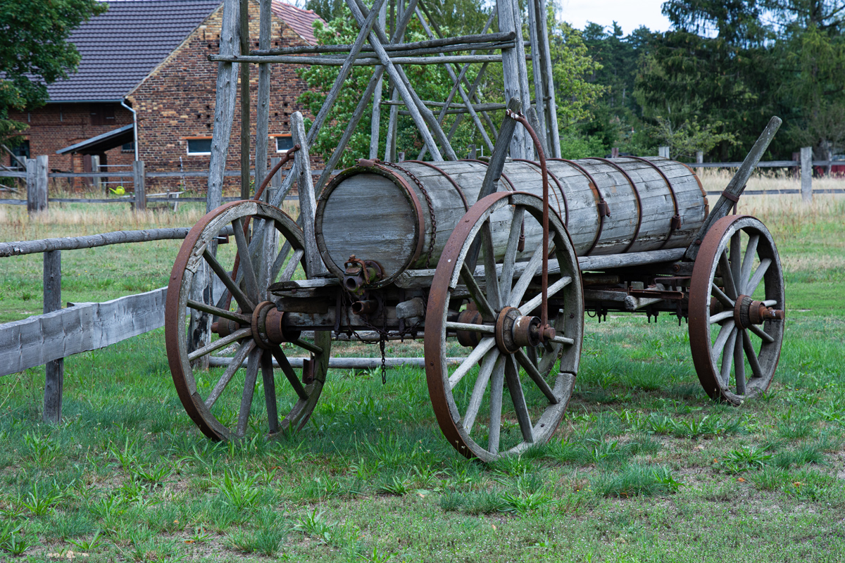 OF2_43511.jpg