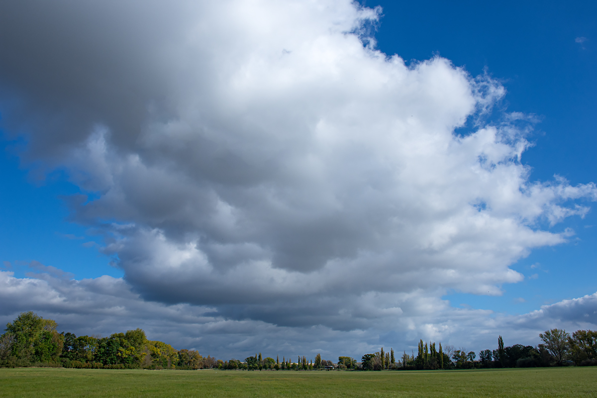 OF2_44196.jpg