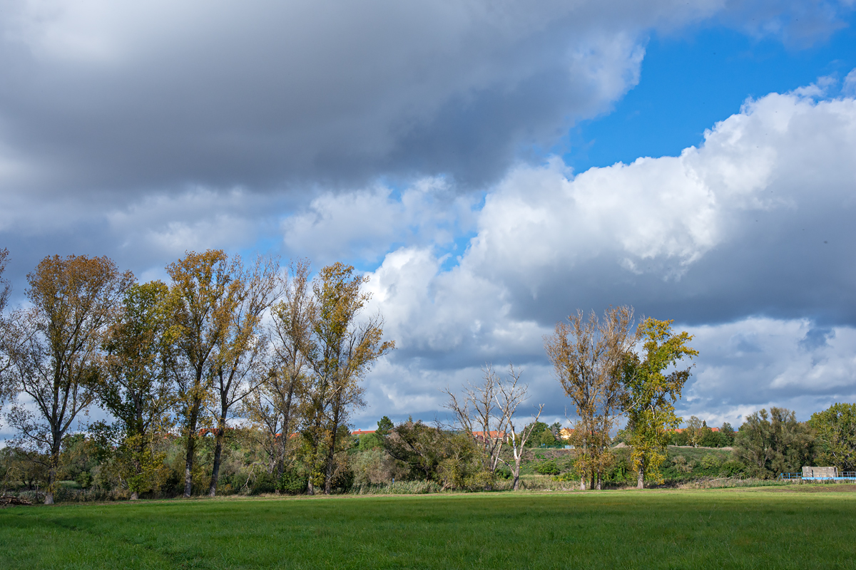 OF2_44198.jpg