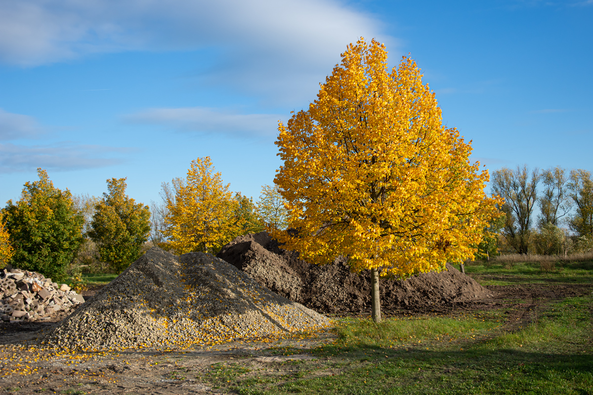 OF2_44328.jpg