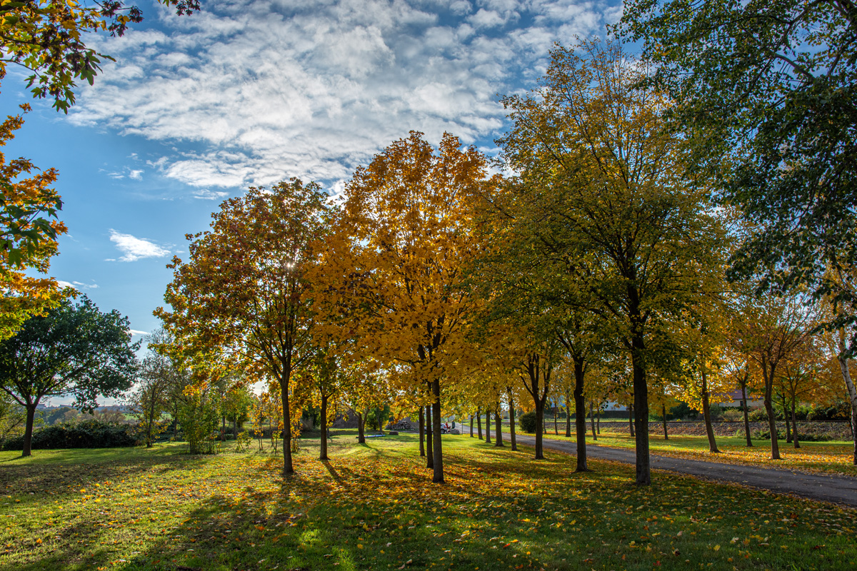OF2_44337.jpg