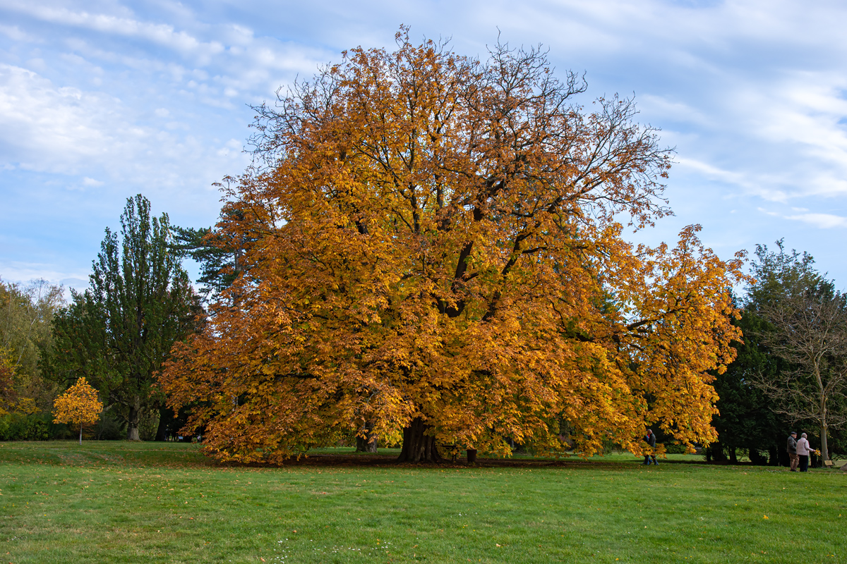 OF2_44430.jpg