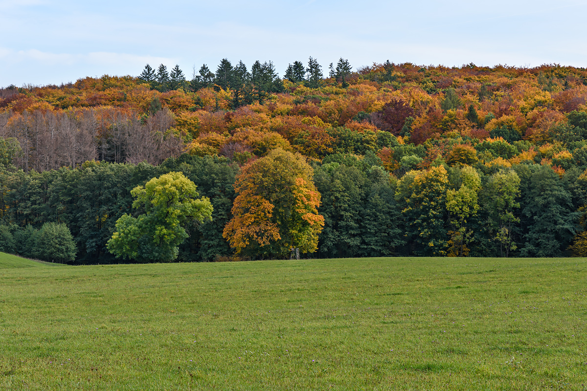 OF2_44459.jpg