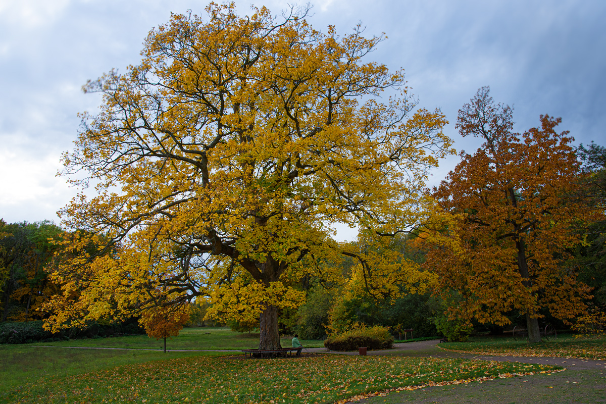 OF2_44496.jpg