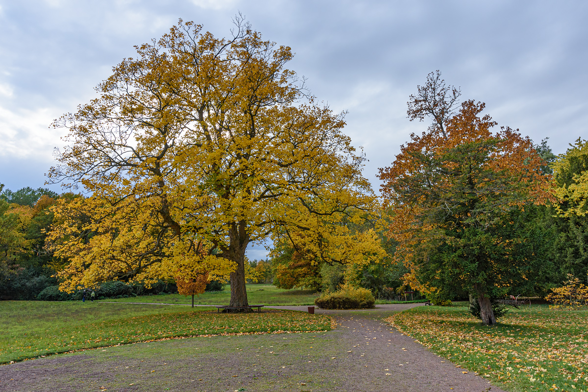 OF2_44515.jpg