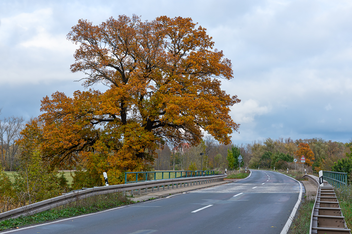 OF2_44676.jpg