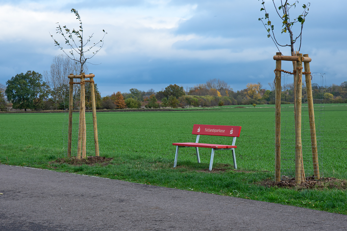 OF2_44700.jpg