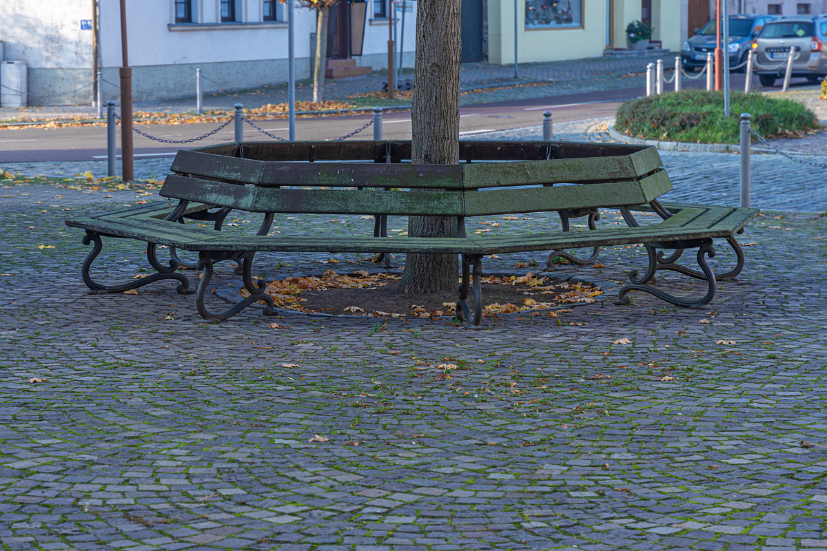 OF2_45608.jpg