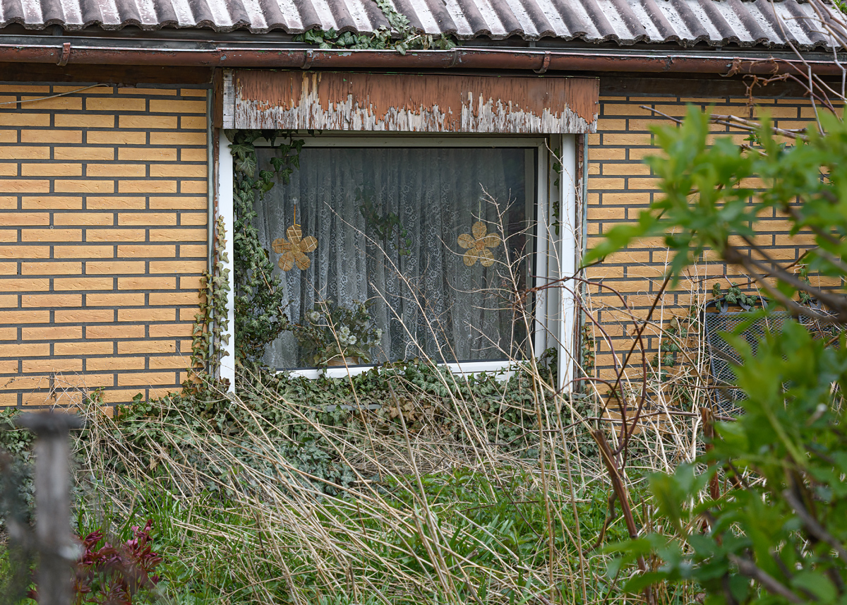 OF2_49024.jpg