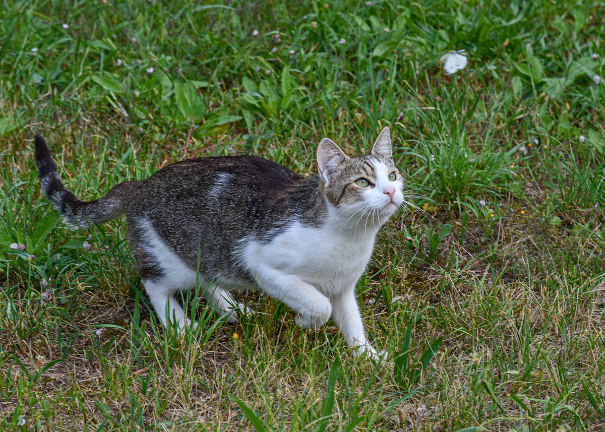 OF2_51514.jpg