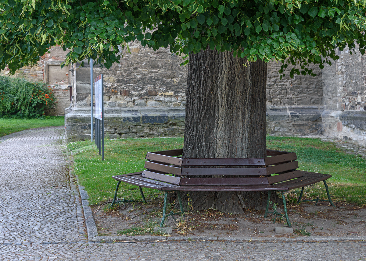 OF2_51540.jpg