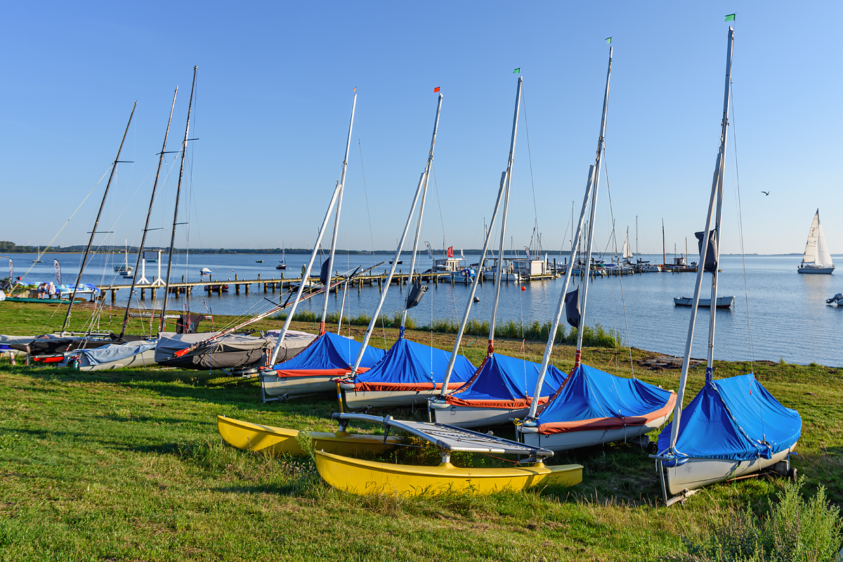 OF2_53053.jpg