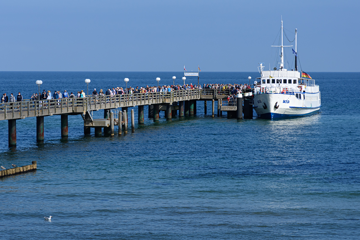 OF2_53155.jpg