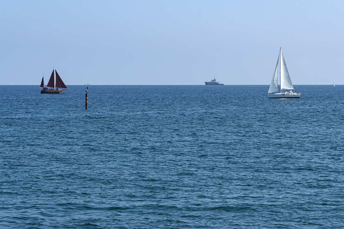 OF2_53203.jpg