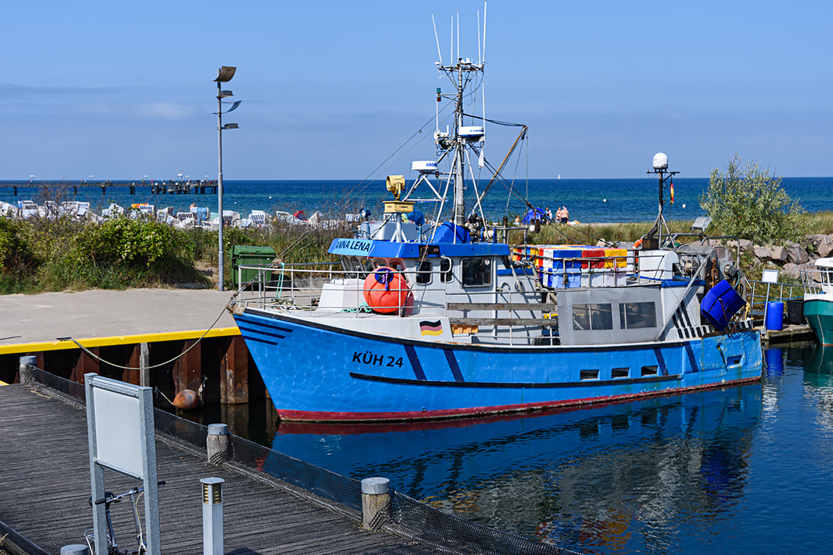 OF2_53318.jpg