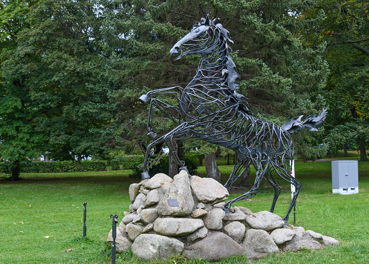 OF2_53538.jpg