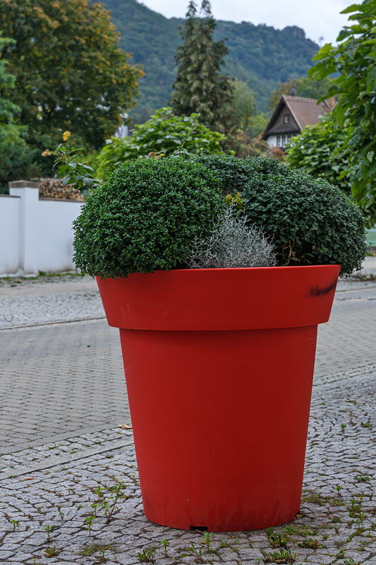 OF2_53640.jpg