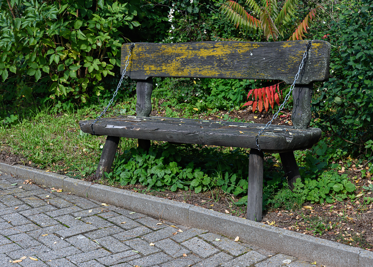 OF2_54045.jpg