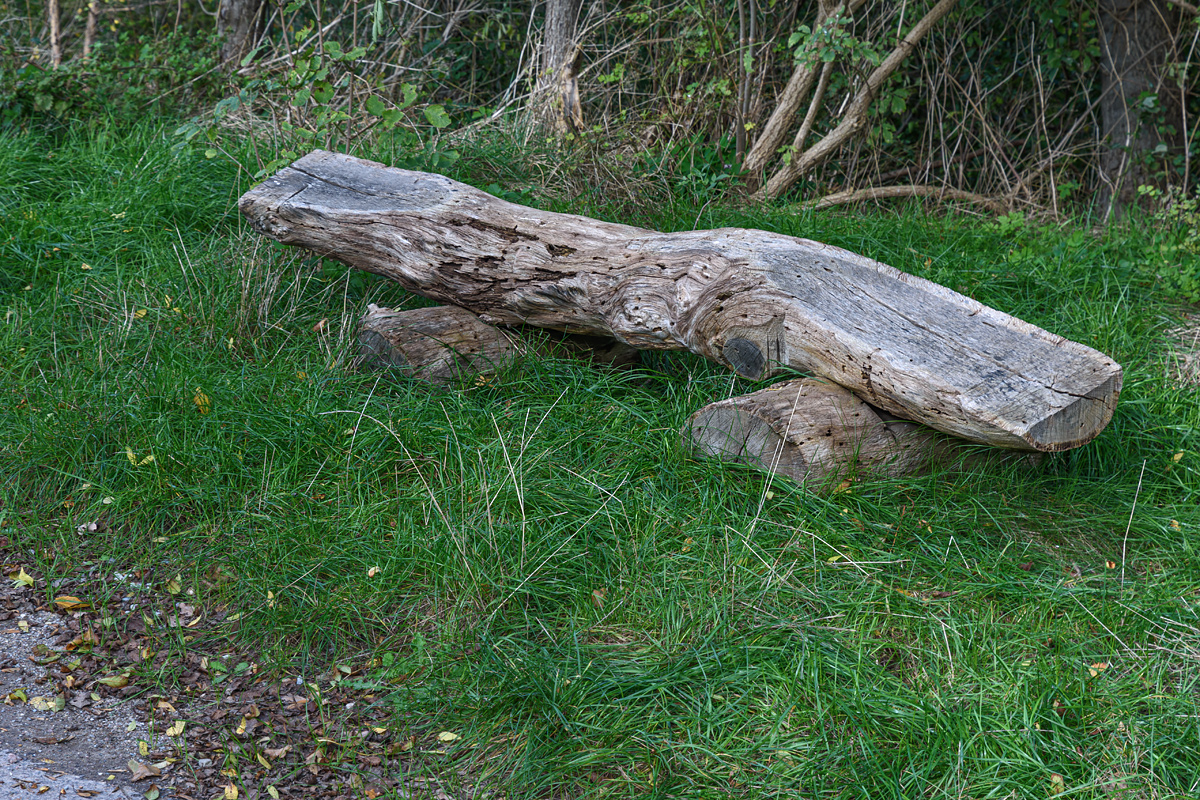 OF2_54057.jpg