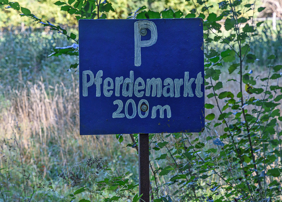 OF2_54088.jpg