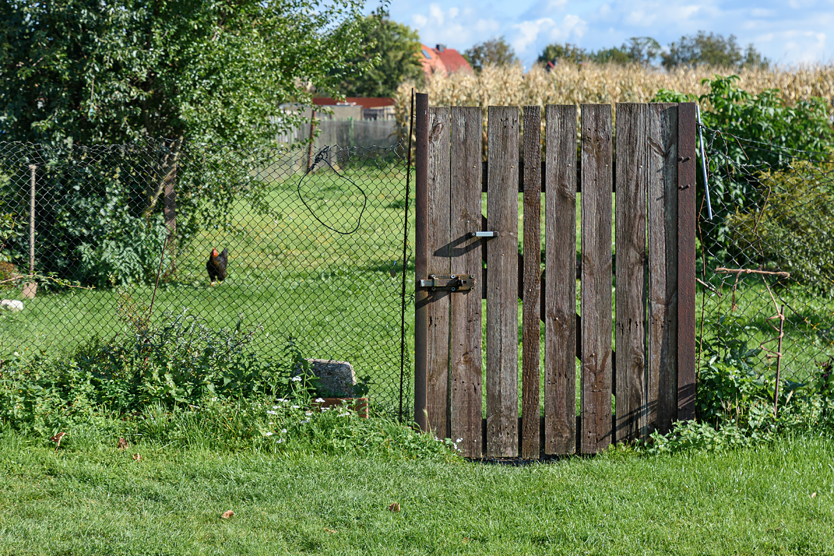 OF2_54196.jpg