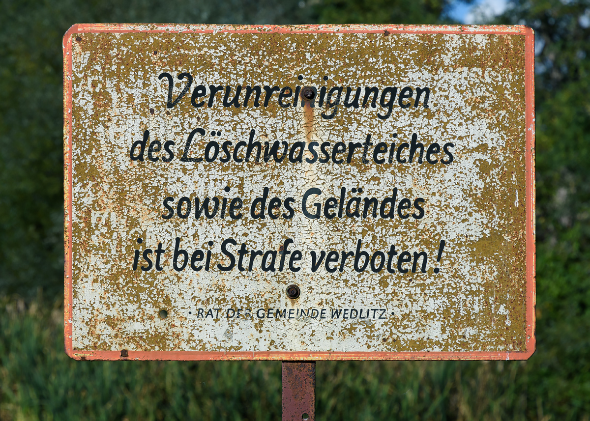 OF2_54210.jpg