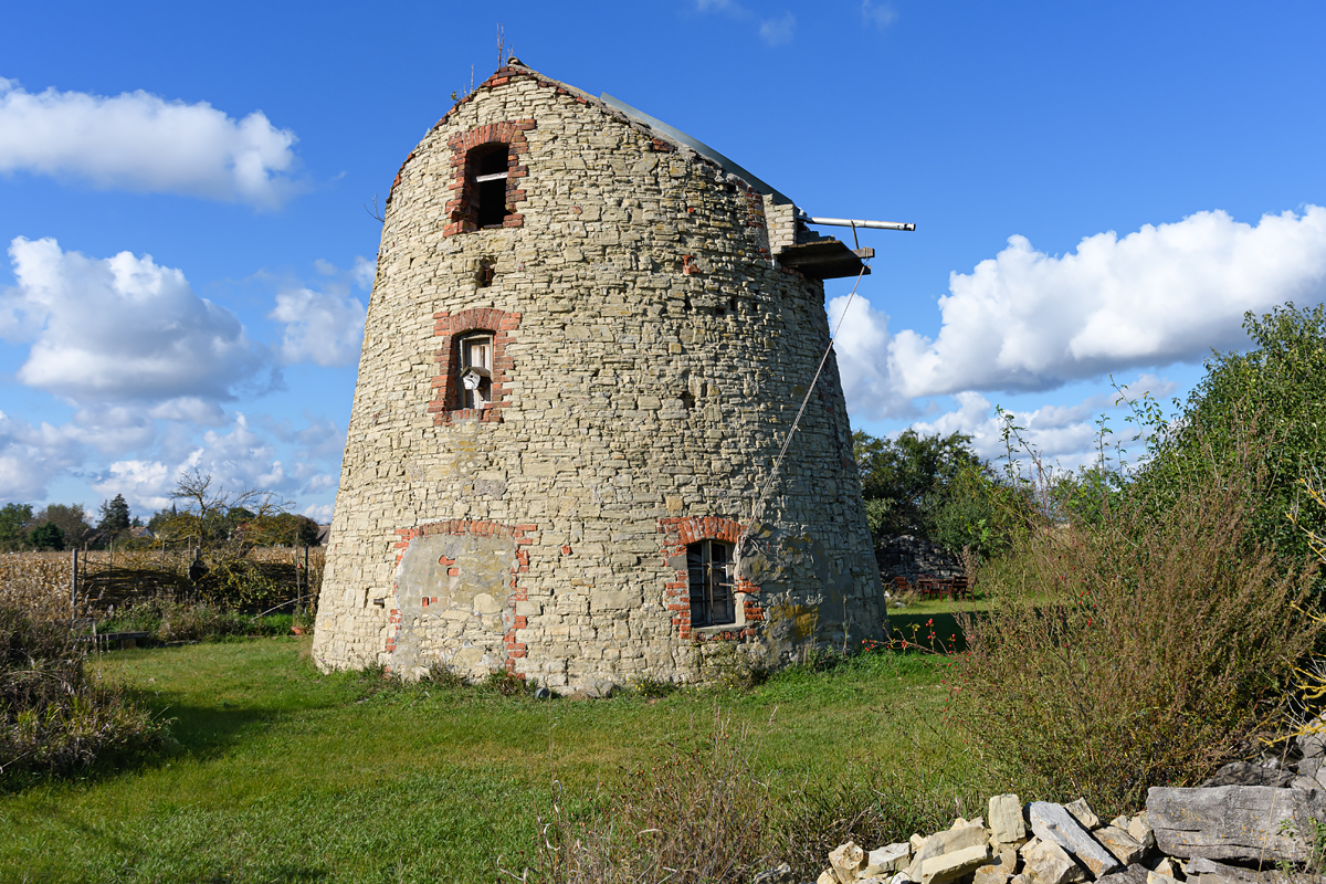 OF2_54230.jpg