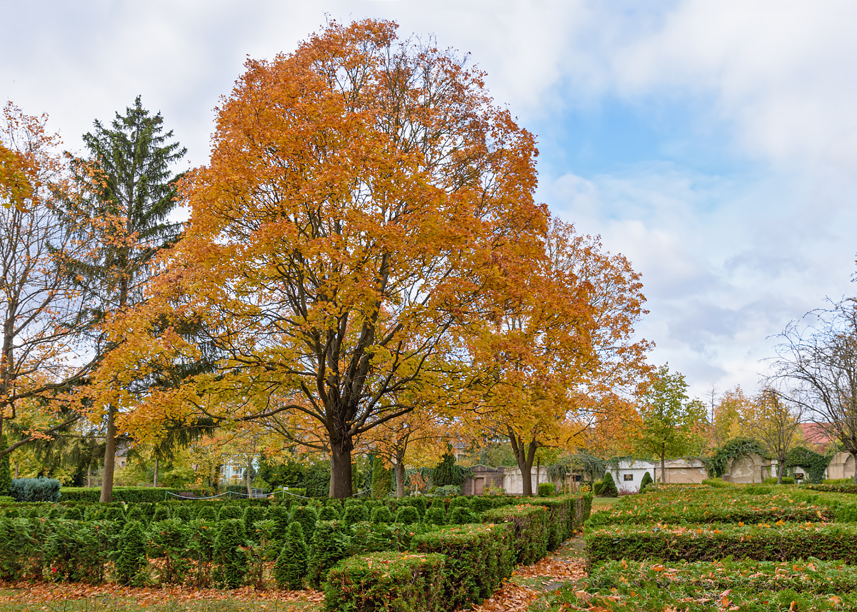 OF2_54305.jpg