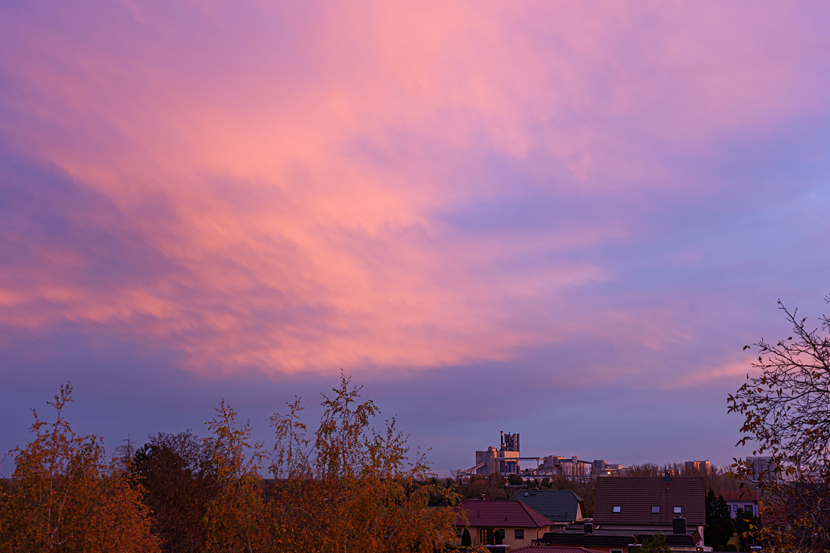 OF2_54401.jpg