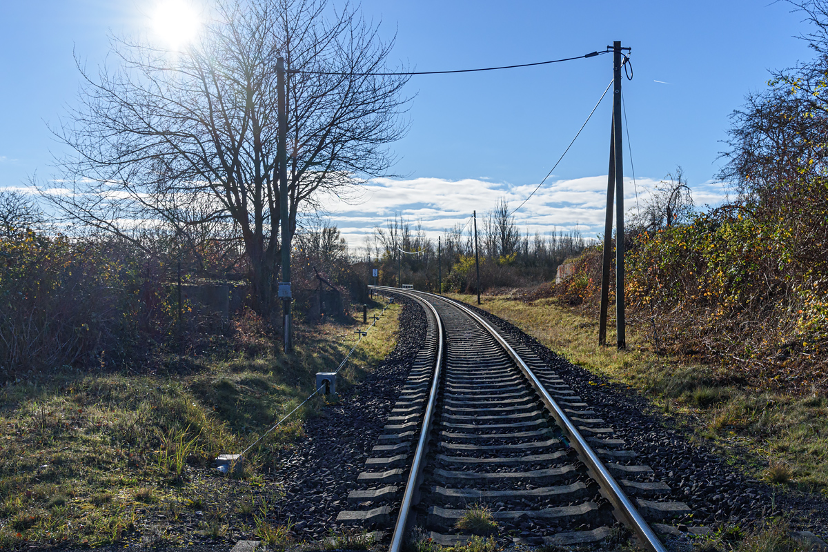 OF2_54494.jpg