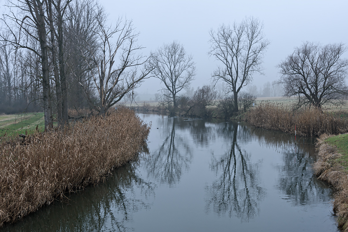 OF2_54907.jpg