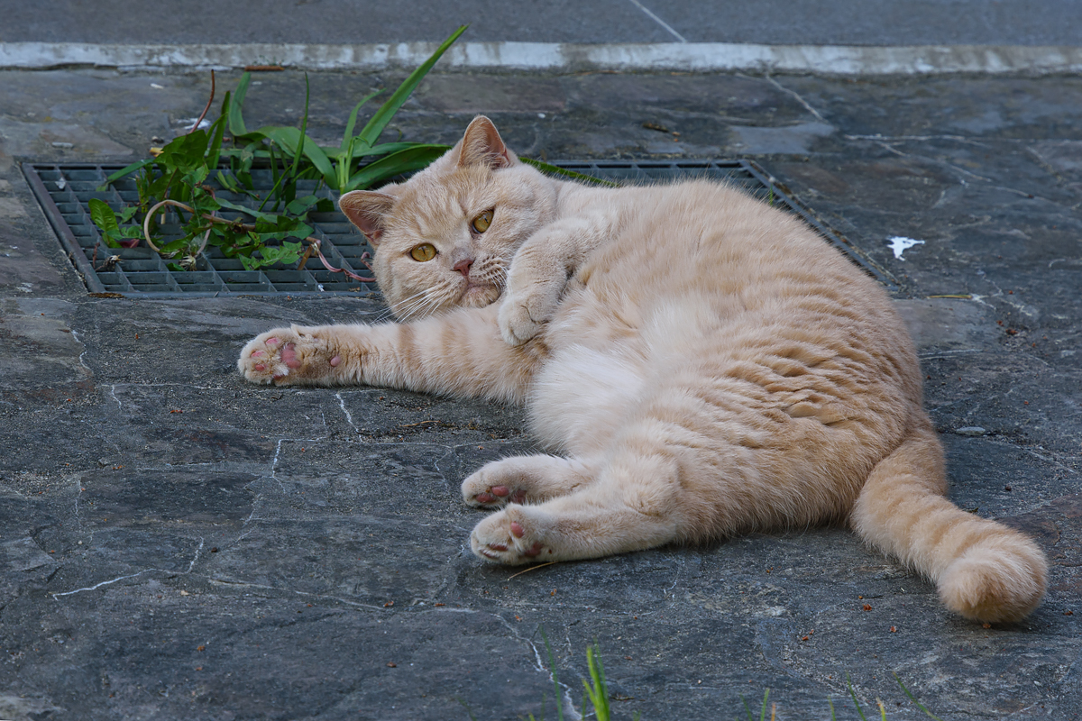 OF2_56105.jpg