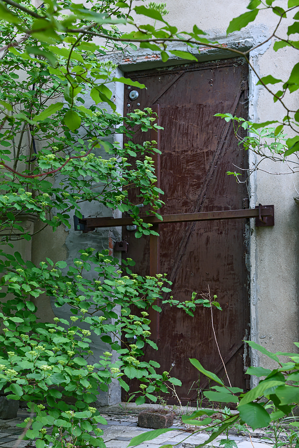 OF2_56232.jpg