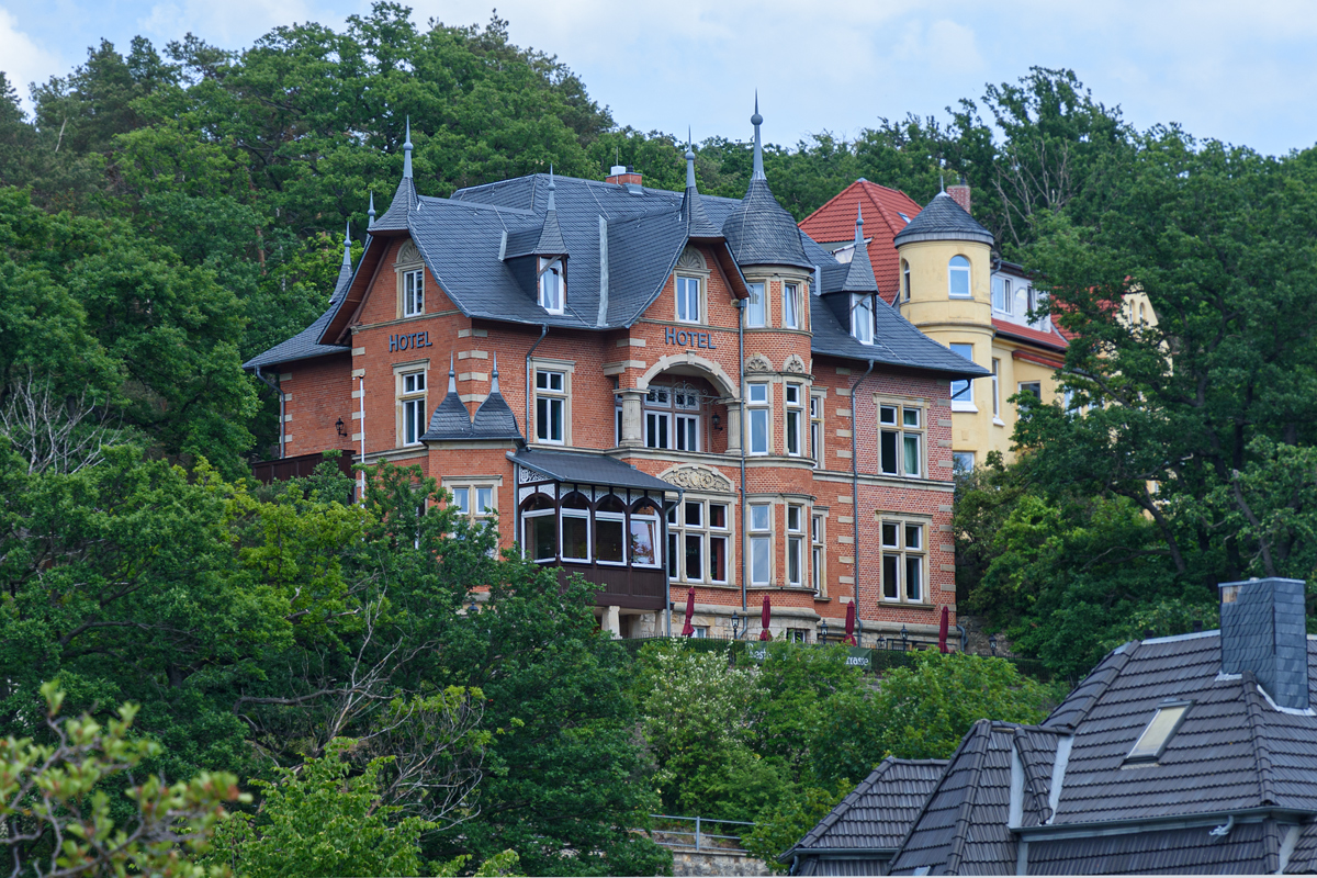 OF2_56476.jpg