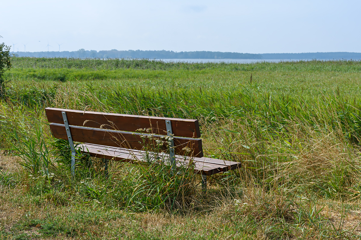 OF2_57750.jpg