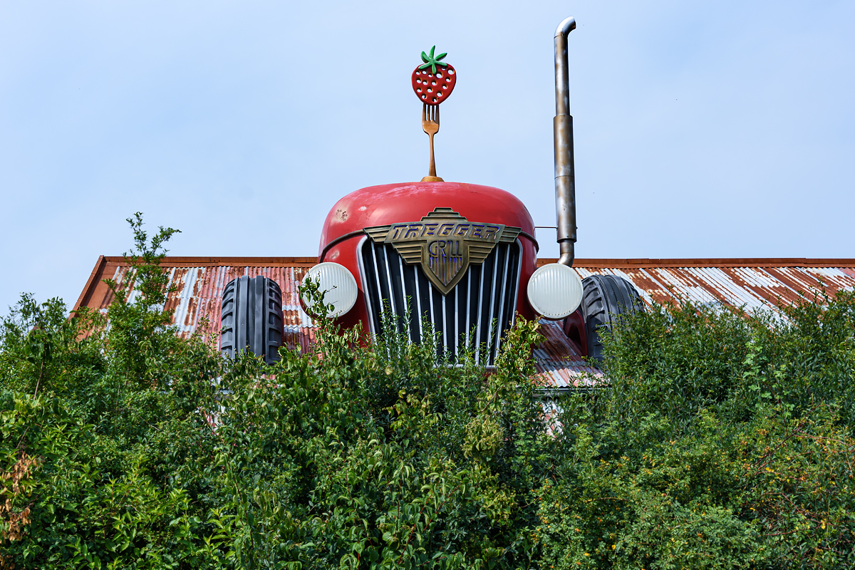 OF2_58017.jpg